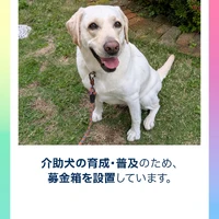 画像353