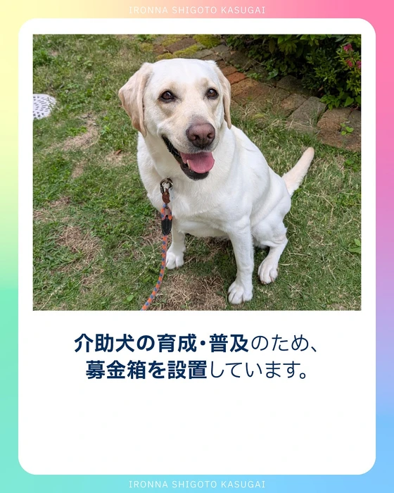 画像353