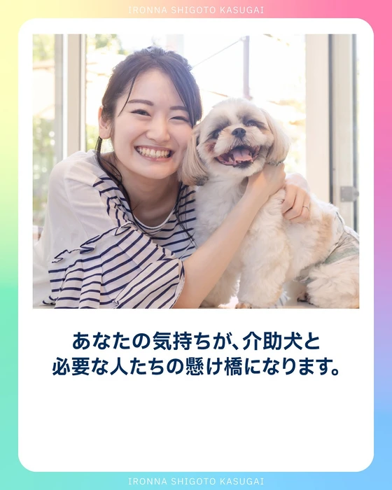 画像354