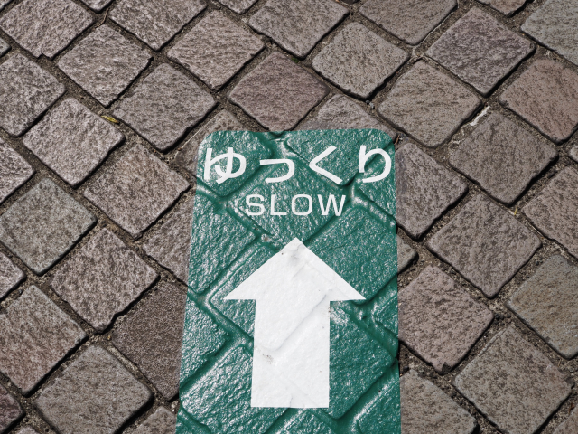 焦らずに未来を育てる